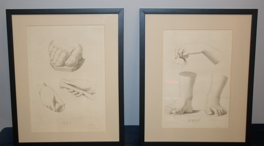 Pair of 19th Century Italian Engravings - Luigi &amp; Vincenzo Aloja - Academic Anatomy Study Prints - Framed (21” x 16”)