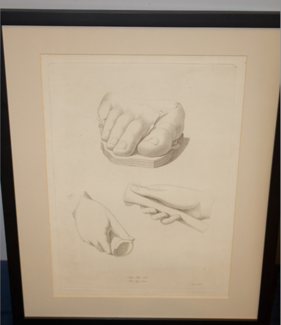 Pair of 19th Century Italian Engravings - Luigi &amp; Vincenzo Aloja - Academic Anatomy Study Prints - Framed (21” x 16”)